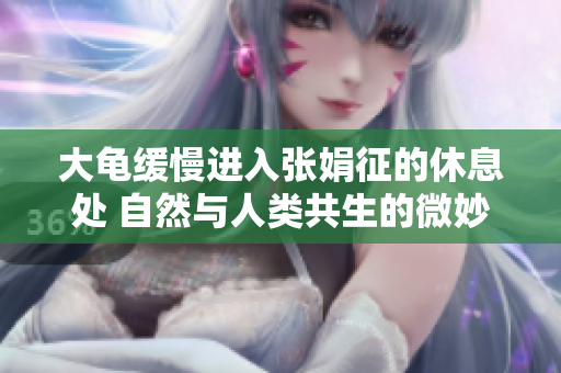 大龜緩慢進入張娟征的休息處 自然與人類共生的微妙平衡