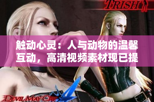 觸動心靈：人與動物的溫馨互動，高清視頻素材現(xiàn)已提供下載！