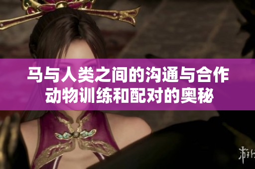 馬與人類之間的溝通與合作 動物訓練和配對的奧秘