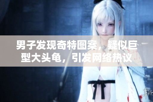 男子發(fā)現(xiàn)奇特圖案，疑似巨型大頭龜，引發(fā)網(wǎng)絡(luò)熱議