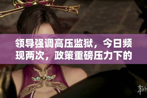 領導強調高壓監(jiān)獄，今日頻現(xiàn)兩次，政策重磅壓力下的再思考