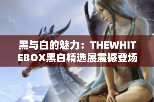 黑與白的魅力：THEWHITEBOX黑白精選展震撼登場