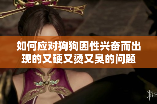 如何應(yīng)對狗狗因性興奮而出現(xiàn)的又硬又燙又臭的問題 如何應(yīng)對狗狗因性興奮而出現(xiàn)的又硬又燙又臭的問題