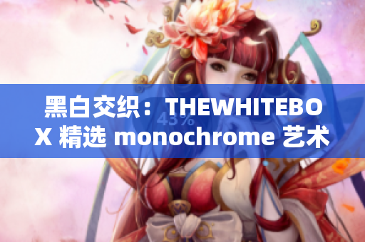 黑白交織:THEWHITEBOX 精選 monochrome 藝術(shù) 黑白交織:THEWHITEBOX 精選 monochrome 藝術(shù)
