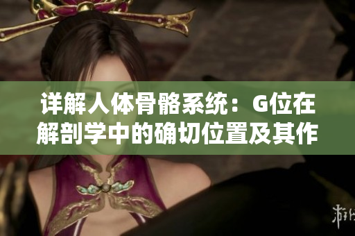 詳解人體骨骼系統(tǒng):G位在解剖學(xué)中的確切位置及其作用 詳解人體骨骼系統(tǒng):G位在解剖學(xué)中的確切位置及其作用