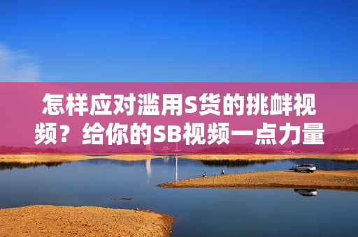 怎樣應(yīng)對濫用S貨的挑釁視頻?給你的SB視頻一點力量 怎樣應(yīng)對濫用S貨的挑釁視頻?給你的SB視頻一點力量