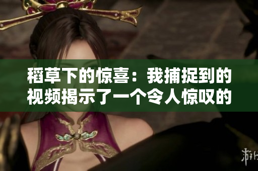 稻草下的驚喜：我捕捉到的視頻揭示了一個(gè)令人驚嘆的秘密