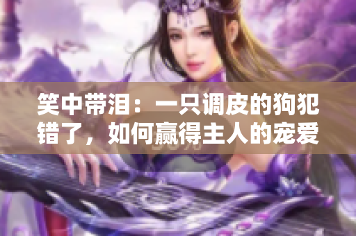 笑中帶淚：一只調(diào)皮的狗犯錯(cuò)了，如何贏得主人的寵愛與原諒