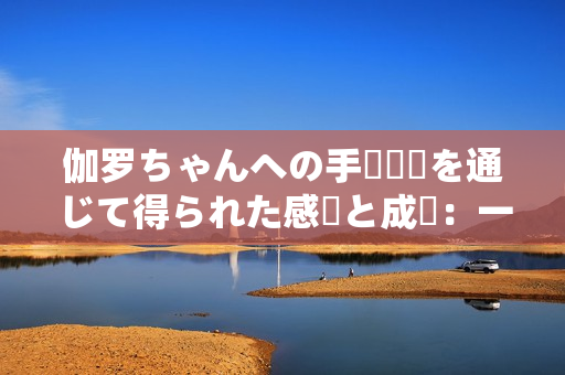 伽羅ちゃんへの手術(shù)経験を通じて得られた感動と成長：一匹犬の物語