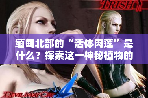 緬甸北部的“活體肉蓮”是什么？探索這一神秘植物的奧秘