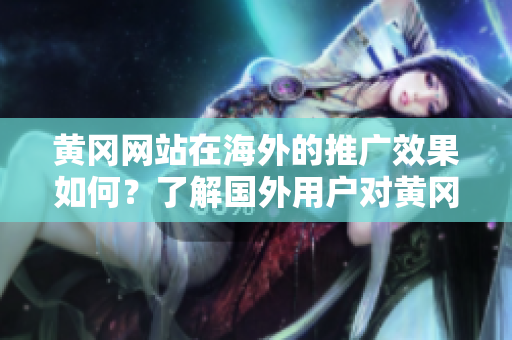 黃岡網(wǎng)站在海外的推廣效果如何？了解國(guó)外用戶對(duì)黃岡的看法