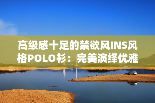 高級感十足的禁欲風(fēng)INS風(fēng)格POLO衫：完美演繹優(yōu)雅與時尚