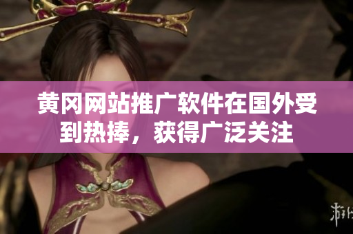 黃岡網(wǎng)站推廣軟件在國(guó)外受到熱捧，獲得廣泛關(guān)注