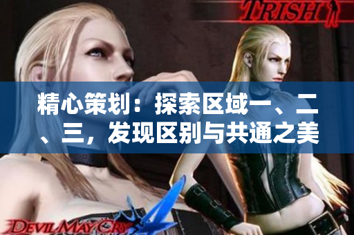 精心策劃：探索區(qū)域一、二、三，發(fā)現(xiàn)區(qū)別與共通之美