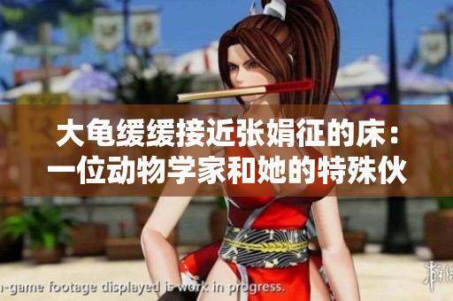 大龜緩緩接近張娟征的床：一位動物學(xué)家和她的特殊伙伴之間的溫馨故事