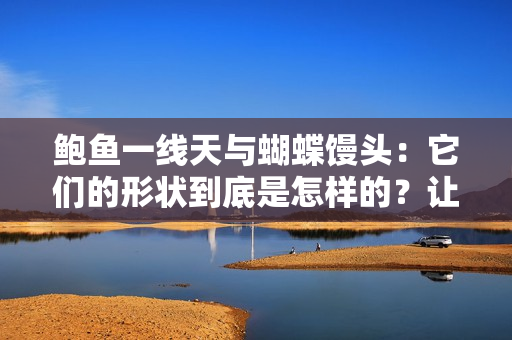 鮑魚一線天與蝴蝶饅頭：它們的形狀到底是怎樣的？讓我們一探究竟