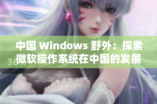 中國 Windows 野外：探索微軟操作系統(tǒng)在中國的發(fā)展歷程