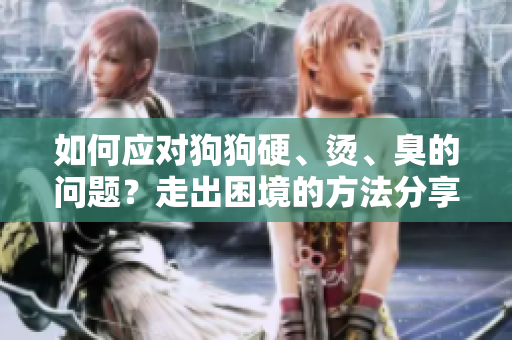 如何應對狗狗硬、燙、臭的問題？走出困境的方法分享