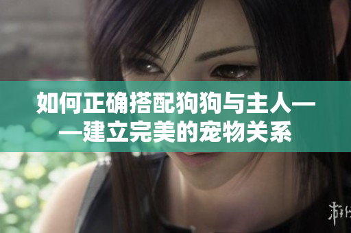如何正確搭配狗狗與主人——建立完美的寵物關(guān)系