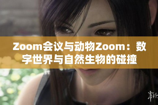 Zoom會議與動物Zoom：數(shù)字世界與自然生物的碰撞