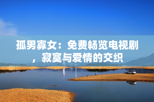 孤男寡女：免費(fèi)暢覽電視劇，寂寞與愛情的交織