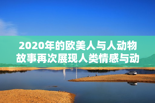 2020年的歐美人與人動(dòng)物故事再次展現(xiàn)人類情感與動(dòng)物互動(dòng)的溫暖畫面