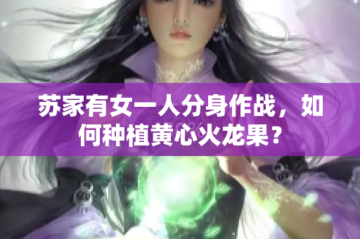 蘇家有女一人分身作戰(zhàn)，如何種植黃心火龍果？