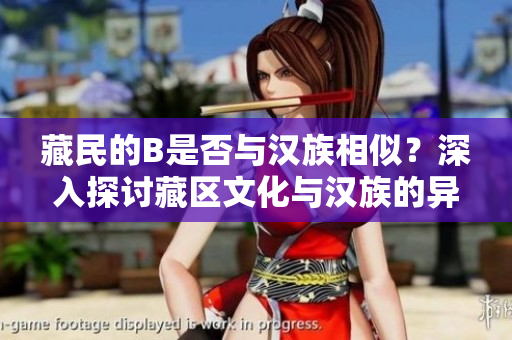 藏民的B是否與漢族相似？深入探討藏區(qū)文化與漢族的異同