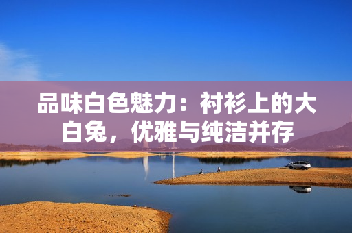 品味白色魅力：襯衫上的大白兔，優(yōu)雅與純潔并存