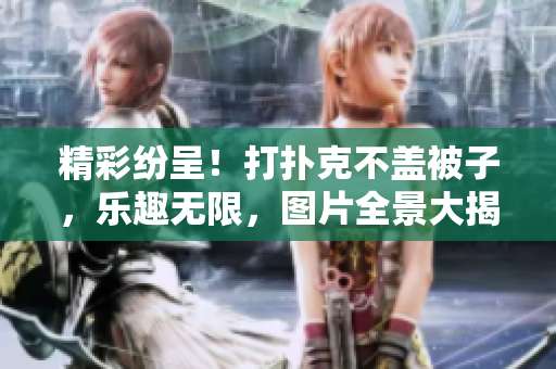 精彩紛呈！打撲克不蓋被子，樂趣無限，圖片全景大揭秘