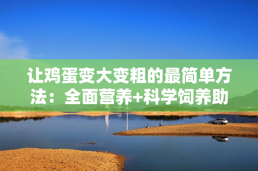 讓雞蛋變大變粗的最簡單方法:全面營養(yǎng)+科學飼養(yǎng)助力增產(chǎn) 讓雞蛋變大變粗的最簡單方法:全面營養(yǎng)+科學飼養(yǎng)助力增產(chǎn)