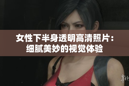 女性下半身透明高清照片：細(xì)膩美妙的視覺體驗(yàn)