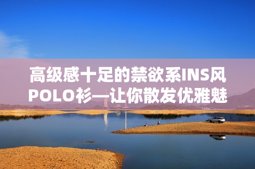 高級(jí)感十足的禁欲系INS風(fēng)POLO衫—讓你散發(fā)優(yōu)雅魅力