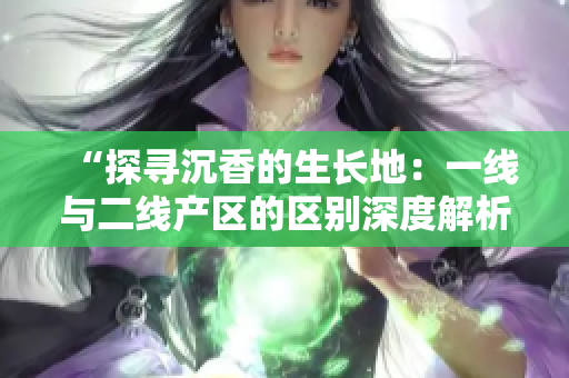 “探尋沉香的生長地：一線與二線產(chǎn)區(qū)的區(qū)別深度解析”