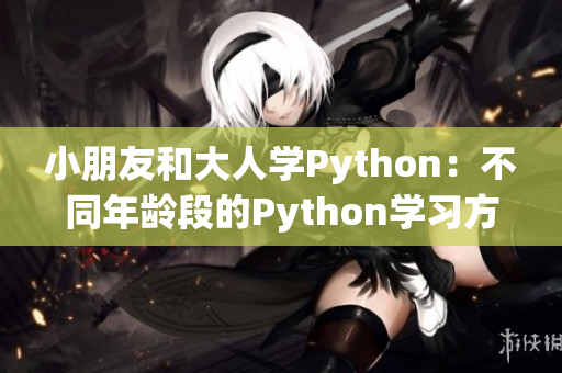 小朋友和大人學(xué)Python：不同年齡段的Python學(xué)習(xí)方法對比