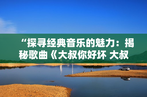 “探尋經(jīng)典音樂(lè)的魅力：揭秘歌曲《大叔你好壞 大叔搖起來(lái)》的背后故事”