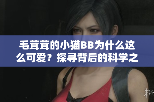毛茸茸的小貓BB為什么這么可愛？探尋背后的科學之謎