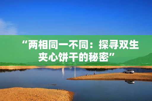 “兩相同一不同：探尋雙生夾心餅干的秘密”