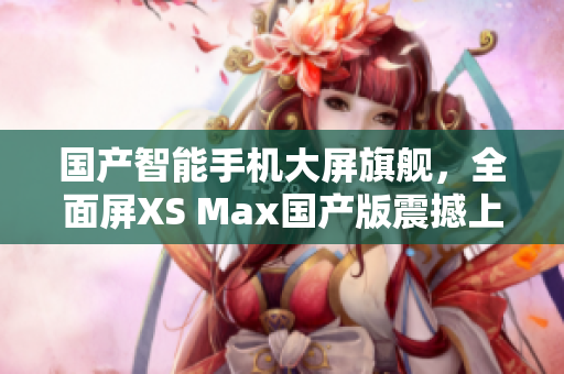 國產(chǎn)智能手機(jī)大屏旗艦，全面屏XS Max國產(chǎn)版震撼上市