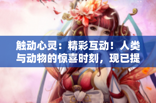 觸動(dòng)心靈：精彩互動(dòng)！人類與動(dòng)物的驚喜時(shí)刻，現(xiàn)已提供高清視頻素材下載！