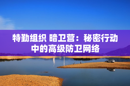 特勤組織 暗衛(wèi)營(yíng)：秘密行動(dòng)中的高級(jí)防衛(wèi)網(wǎng)絡(luò)