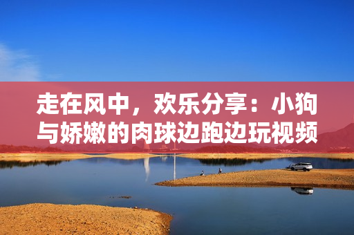 走在風(fēng)中，歡樂分享：小狗與嬌嫩的肉球邊跑邊玩視頻