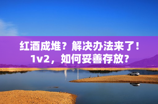 紅酒成堆？解決辦法來了！1v2，如何妥善存放？