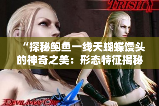 “探秘鮑魚一線天蝴蝶饅頭的神奇之美：形態(tài)特征揭秘與鑒別指南”