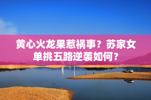 黃心火龍果惹禍?zhǔn)?？蘇家女單挑五路逆襲如何？
