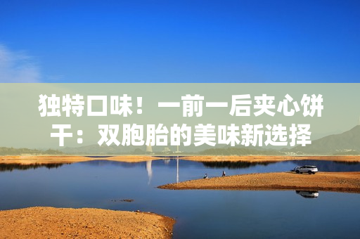 獨特口味！一前一后夾心餅干：雙胞胎的美味新選擇