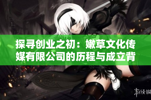 探尋創(chuàng)業(yè)之初：嫩草文化傳媒有限公司的歷程與成立背景
