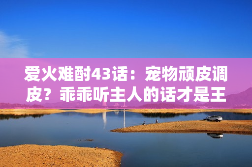 愛火難酎43話：寵物頑皮調皮？乖乖聽主人的話才是王道