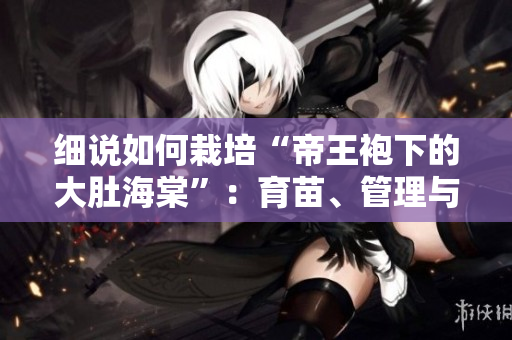 細(xì)說(shuō)如何栽培“帝王袍下的大肚海棠”：育苗、管理與收獲技巧分享