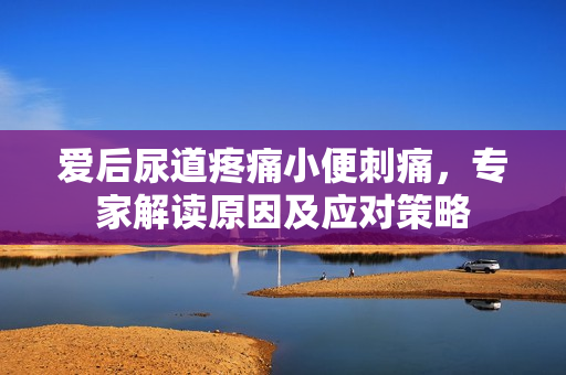 愛后尿道疼痛小便刺痛，專家解讀原因及應(yīng)對策略